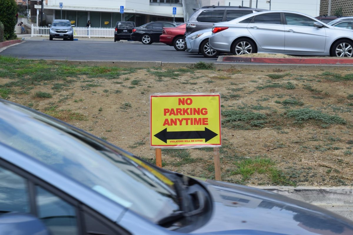 One of the many signs around Rio parking lots that prohibit parking in certain areas.