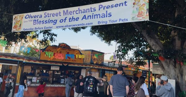 Olvera Street is home to many events celebrating Catcholic culture and beliefs. One of the major events brings four- legged friends and many other
animal species out to receive their annual blessing. Among the traditonal practices, Olvera Street is home to many puestos (stands) resembling
outdoor mercados (flea markets) from earlier times. These puestos sell anything from traditonal mexican food, candy, and mexican style goodies.
“Cielito Lindo” translates to beautiful sky, sells its world famous taquitos covered in avocaodo salsa which always draws long lines.