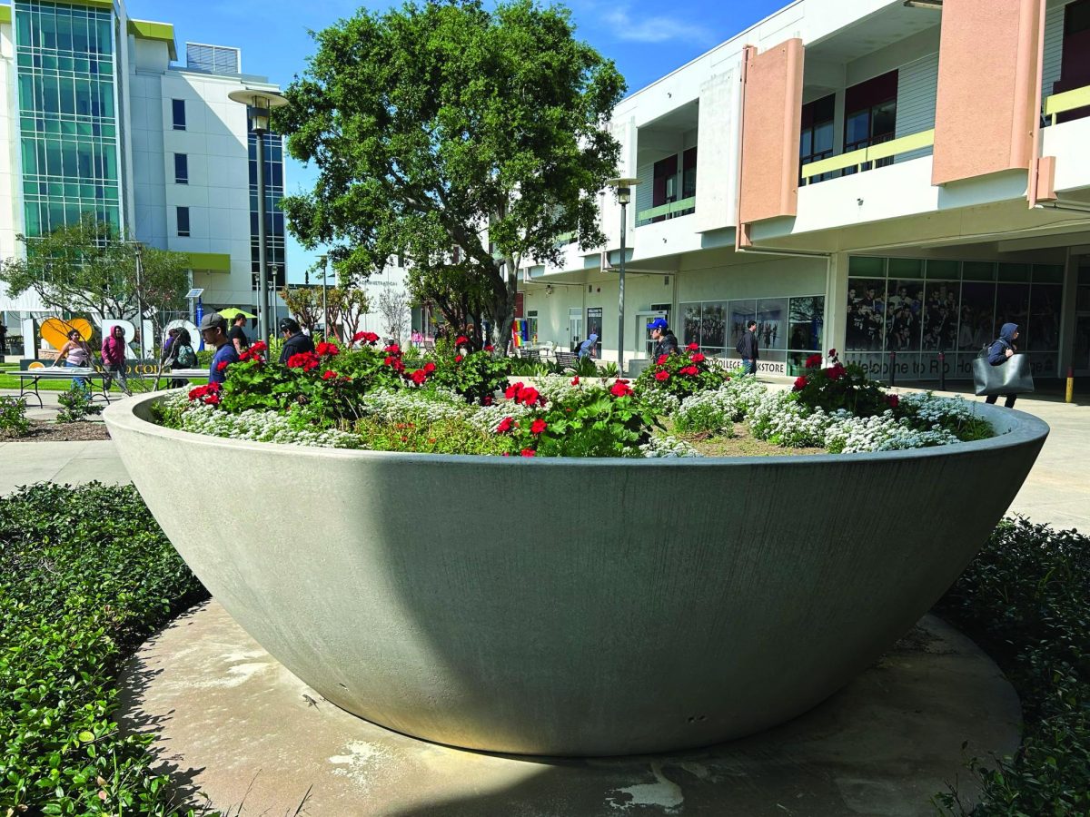 How Rio Hondo Students Can Connect with Nature