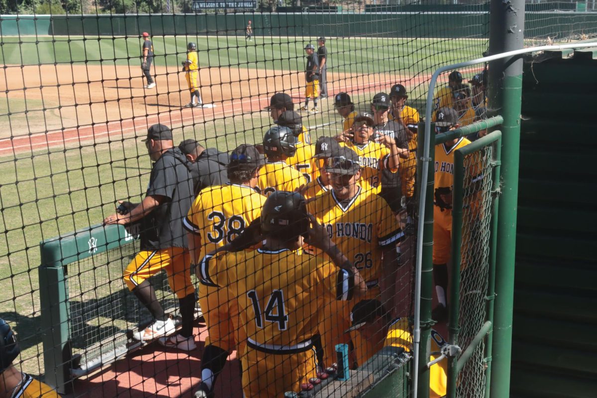 Teammates of the Rio Hondo Roadrunners baseball team celebrate in the dugout after tying the game 2–2 against the College of the Desert Roadrunners 
during the bottom of the second inning on Thursday at Rio Hondo College. The early rally helped shift momentum for Rio Hondo as the team responded to an 
early deficit and energized the home crowd while teammates cheered on the offense from the dugout.