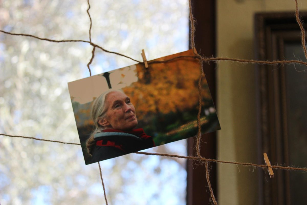 Fans of Goodall honor her memory with photos and memorabilia at her Celebration of Life in January 2026 at The Ebell in Los Angeles.