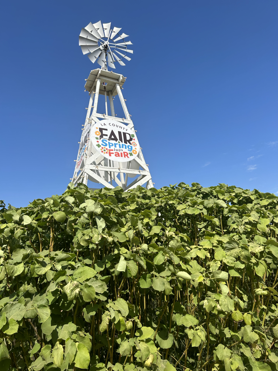 LA County Fair